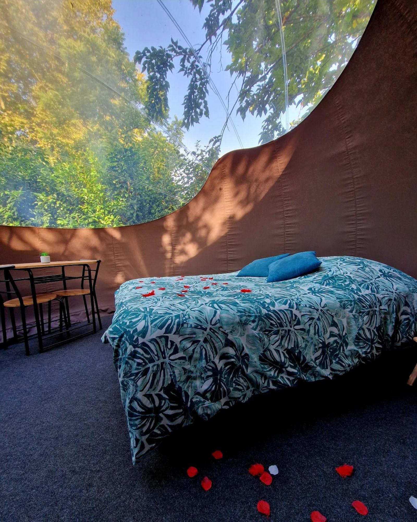 Les Nuits De Cassiopee Bed & Breakfast Sorde-l'Abbaye Ruang foto